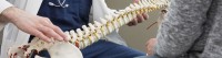 Osteo Kineto Osteo Kineto