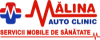 Malina Auto Clinic