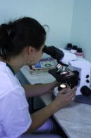 Discovery Clinic Discovery Clinic